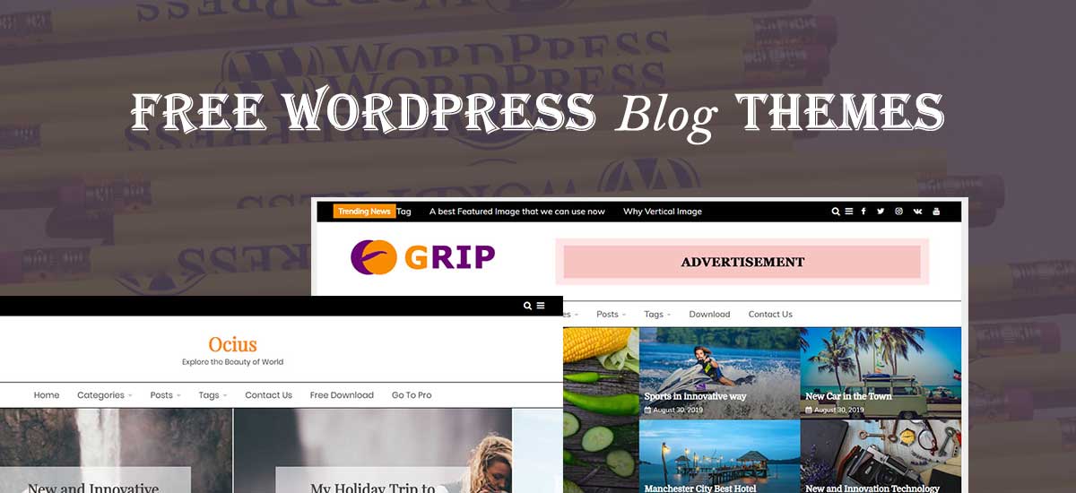 10+ Best WordPress Blog Themes for your Website in 2022