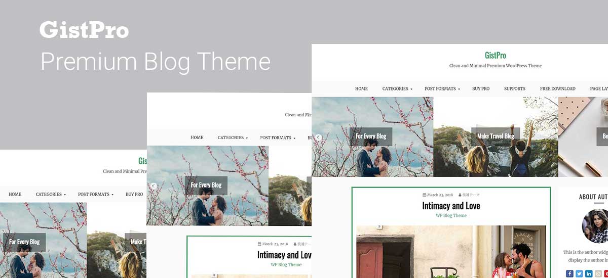 GistPro – Premium WordPress Themes For Blog and Magazine