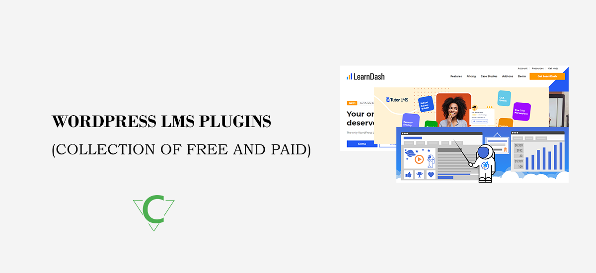 WordPress LMS Plugin