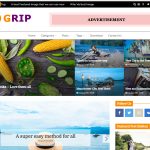 grip best magazine themes