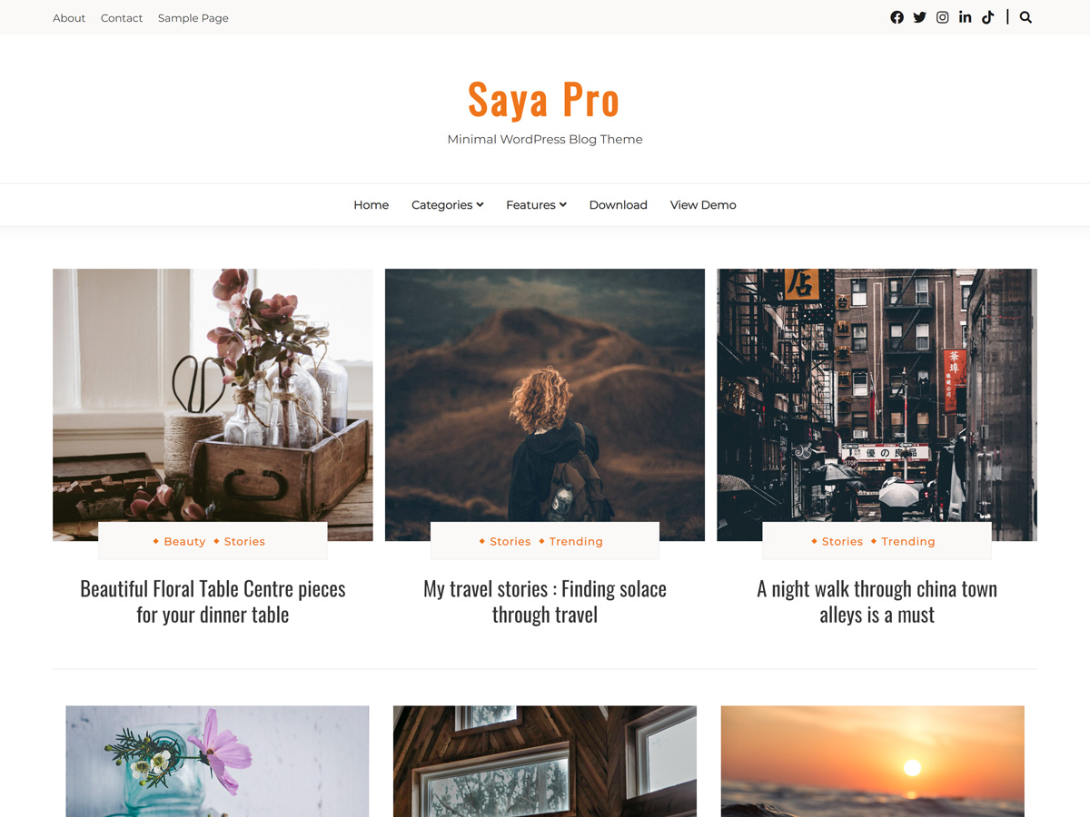 All Themes Plan – Get 10+ Premium Themes Now Saya Pro