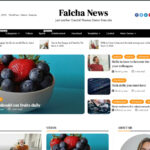 Falcha News WordPress theme