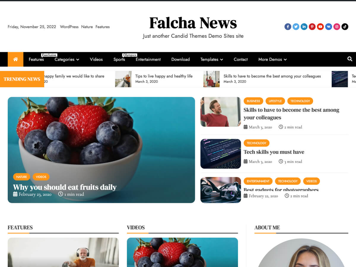 Falcha News – Gutenberg ready WordPress Theme Free Main Demo